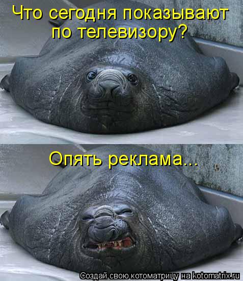 Что сегодня показывают по телевизору? Опять реклама...... Котоматрица: Что сегодня показывают по телевизору? Опять реклама...
