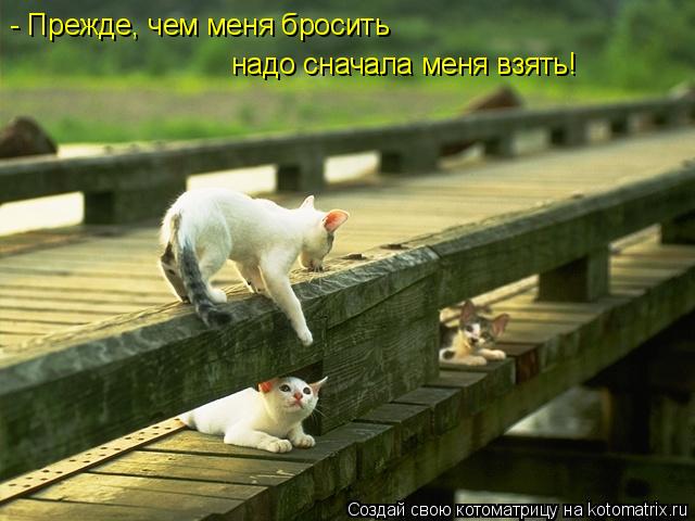 - Прежде, чем меня бросить надо сначала меня взять!... Котоматрица: - Прежде, чем меня бросить надо сначала меня взять!