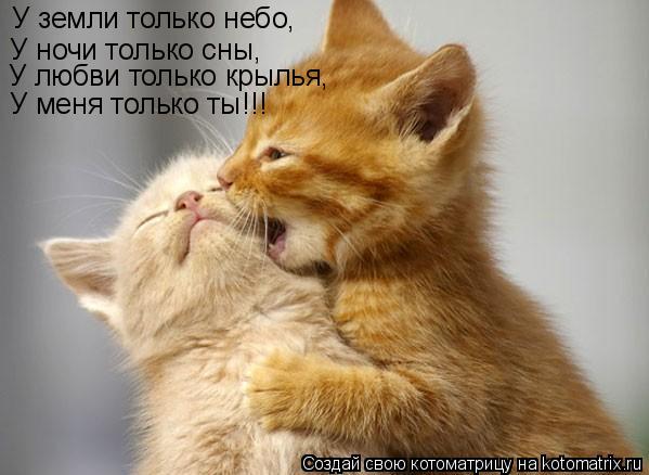 У земли только небо, У ночи только сны, У любви только крылья, У меня только ты!!!... Котоматрица: У земли только небо, У ночи только сны, У любви только крылья, У меня только ты!!!
