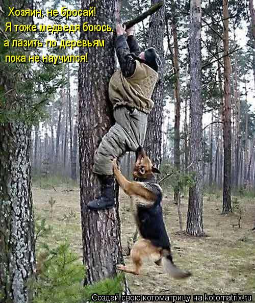 Хозяин, не бросай! Я тоже медведя боюсь, а лазить по деревьям пока не научился!... Котоматрица: Хозяин, не бросай! Я тоже медведя боюсь, а лазить по деревьям пока не научился!