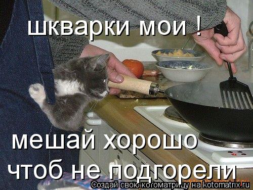 Котоматрица: шкварки мои !  мешай хорошо чтоб не подгорели