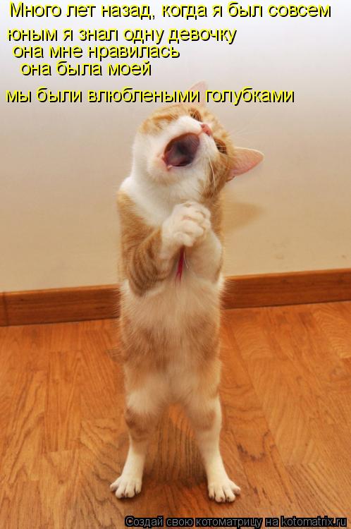 Много лет назад, когда я был совсем юным я знал одну девочку она мне нравилась она была моей мы был... Котоматрица: Много лет назад, когда я был совсем юным я знал одну девочку она мне нравилась она была моей мы были влюблеными голубками
