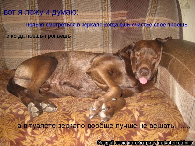 Котоматрица: вот я лежу и думаю: нельзя смотреться в зеркало когда ешь-счастье своё проешь и когда пьёшь-пропьёшь а в туалете зеркало вообще лучше не веш