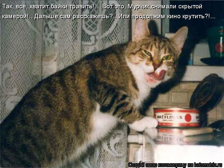 Так, все, хватит байки травить!.. Вот это, Мурчик,снимали скрытой камерой!.. Дальше сам расскажешь?.... Котоматрица: Так, все, хватит байки травить!.. Вот это, Мурчик,снимали скрытой камерой!.. Дальше сам расскажешь?.. Или продолжим кино крутить?!...