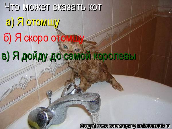 Что может сказать кот а) Я отомщу б) б) Я скоро отомщу в) Я дойду до самой королевы... Котоматрица: Что может сказать кот а) Я отомщу б) б) Я скоро отомщу в) Я дойду до самой королевы