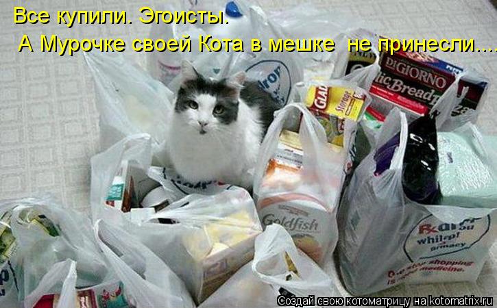 Все купили. Эгоисты. А Мурочке своей Кота в мешке не принесли........ Котоматрица: Все купили. Эгоисты. А Мурочке своей Кота в мешке не принесли.....