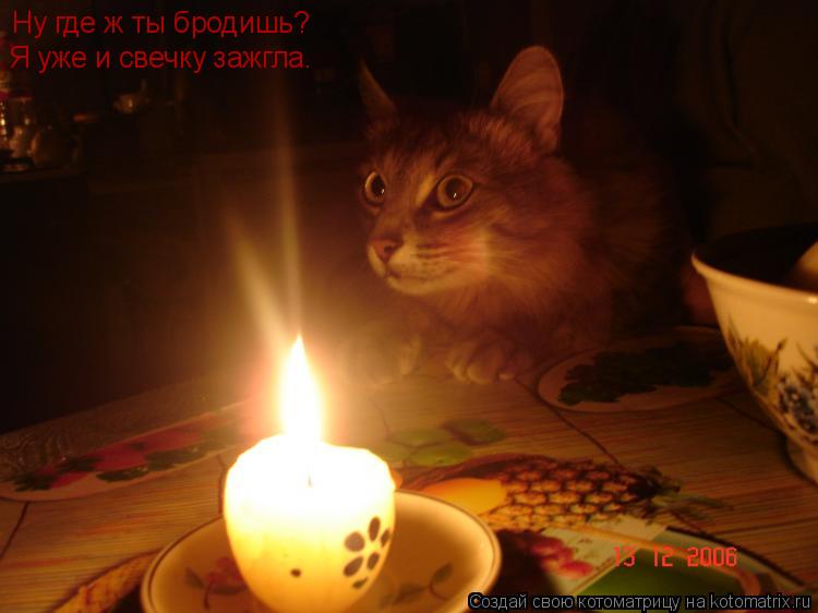 Ну где ж ты бродишь? Я уже и свечку зажгла.... Котоматрица: Ну где ж ты бродишь? Я уже и свечку зажгла.