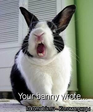 Your banny wrote...... Котоматрица: Your banny wrote...