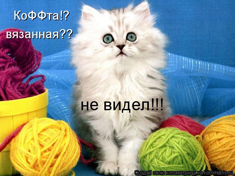КоФФта!? вязанная?? не видел!!!... Котоматрица: КоФФта!? вязанная?? не видел!!!