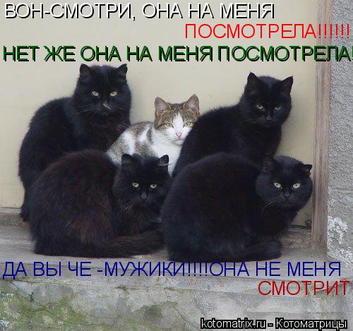 ВОН-СМОТРИ, ОНА НА МЕНЯ ПОСМОТРЕЛА!!!!!! НЕТ ЖЕ ОНА НА МЕНЯ ПОСМОТРЕЛА! ДА ВЫ ЧЕ -МУЖИКИ!!!!ОНА НЕ М... Котоматрица: ВОН-СМОТРИ, ОНА НА МЕНЯ ПОСМОТРЕЛА!!!!!! НЕТ ЖЕ ОНА НА МЕНЯ ПОСМОТРЕЛА! ДА ВЫ ЧЕ -МУЖИКИ!!!!ОНА НЕ МЕНЯ СМОТРИТ