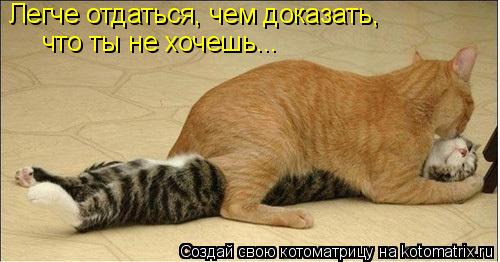 Легче отдаться, чем доказать, что ты не хочешь...... Котоматрица: Легче отдаться, чем доказать, что ты не хочешь...