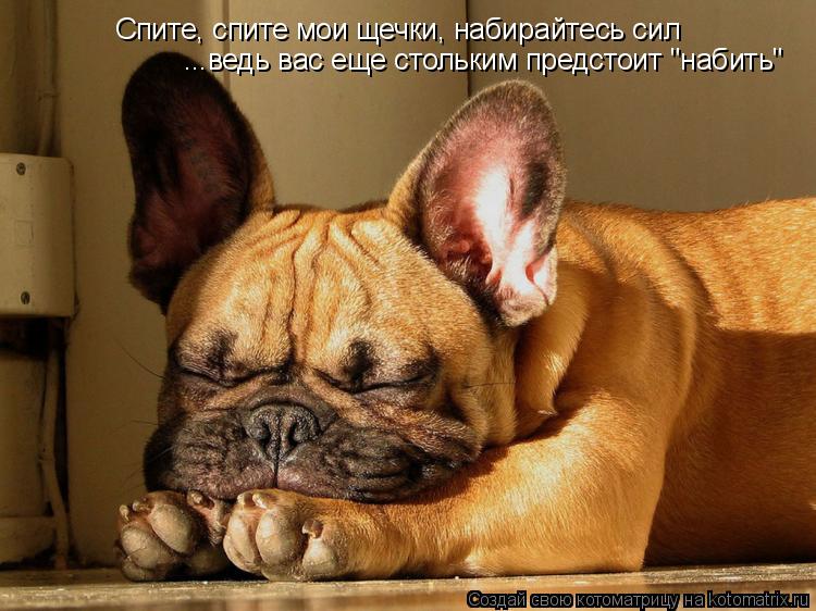 Спите, спите мои щечки, набирайтесь сил ...ведь вас еще стольким предстоит "набить"... Котоматрица: Спите, спите мои щечки, набирайтесь сил ...ведь вас еще стольким предстоит "набить"