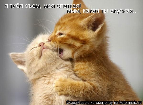 я тибя съем, моя слаткая! ммм, какая ты вкусная...... Котоматрица: я тибя съем, моя слаткая! ммм, какая ты вкусная...