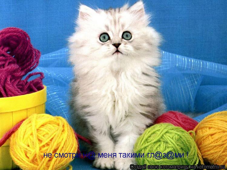 не смотри н@ меня такими гл@з@ми !... Котоматрица: не смотри н@ меня такими гл@з@ми !