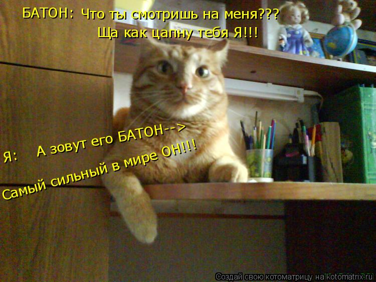 Что ты смотришь на меня??? Ща как цапну тебя Я!!! Самый сильный в мире ОН!!! БАТОН: Я: А зовут его... Котоматрица: Что ты смотришь на меня??? Ща как цапну тебя Я!!! Самый сильный в мире ОН!!! БАТОН: Я: А зовут его БАТОН-->