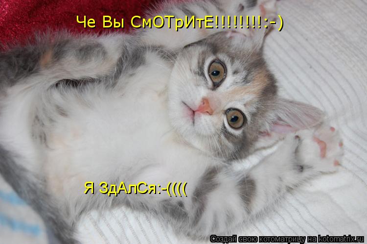 Че Вы СмОТрИтЕ!!!!!!!!:-) Я ЗдАлСя:-((((... Котоматрица: Че Вы СмОТрИтЕ!!!!!!!!:-) Я ЗдАлСя:-((((