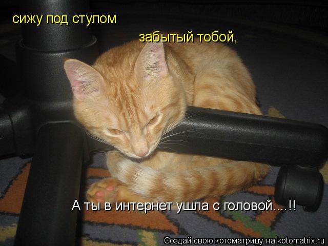 сижу под стулом забытый тобой, А ты в интернет ушла с головой....!!... Котоматрица: сижу под стулом забытый тобой, А ты в интернет ушла с головой....!!