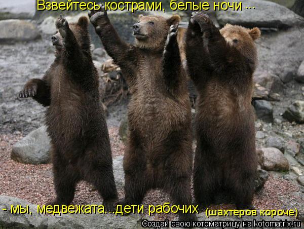 Взвейтесь кострами, белые ночи ... - мы, медвежата...дети рабочих (шахтеров короче)... Котоматрица: Взвейтесь кострами, белые ночи ... - мы, медвежата...дети рабочих (шахтеров короче)