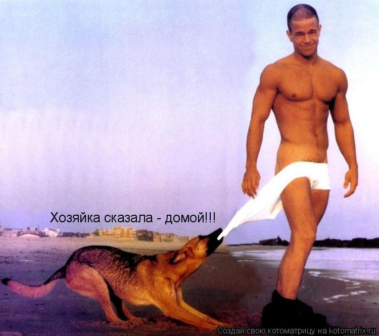 Хозяйка сказала - домой!!!... Котоматрица: Хозяйка сказала - домой!!!