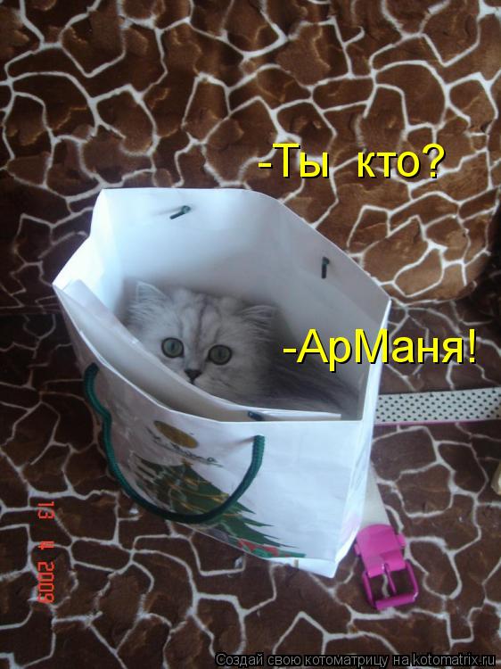 -Ты кто? -АрМаня!... Котоматрица: -Ты кто? -АрМаня!