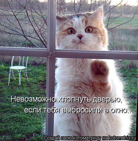 Невозможно хлопнуть дверью, если тебя выбросили в окно...... Котоматрица: Невозможно хлопнуть дверью, если тебя выбросили в окно...