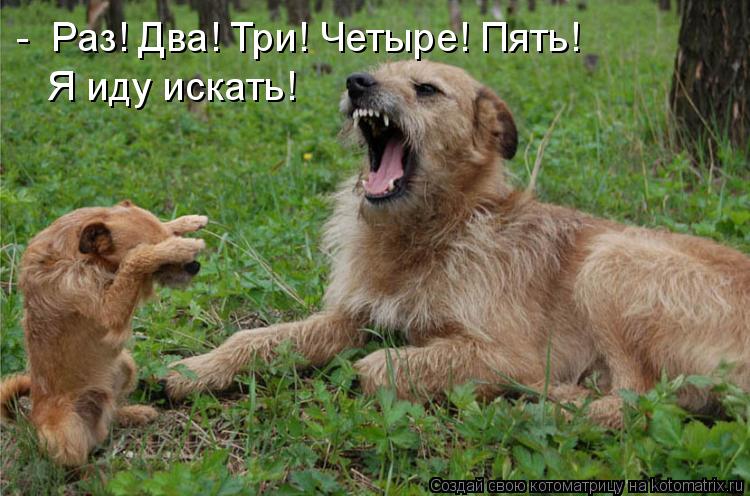 Котоматрица: -  Раз! Два! Три! Четыре! Пять! Я иду искать!