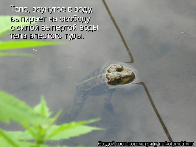 Тело, всунутое в воду, выпирает на свободу с силой выпертой воды тела впертого туды.... Котоматрица: Тело, всунутое в воду, выпирает на свободу с силой выпертой воды тела впертого туды.