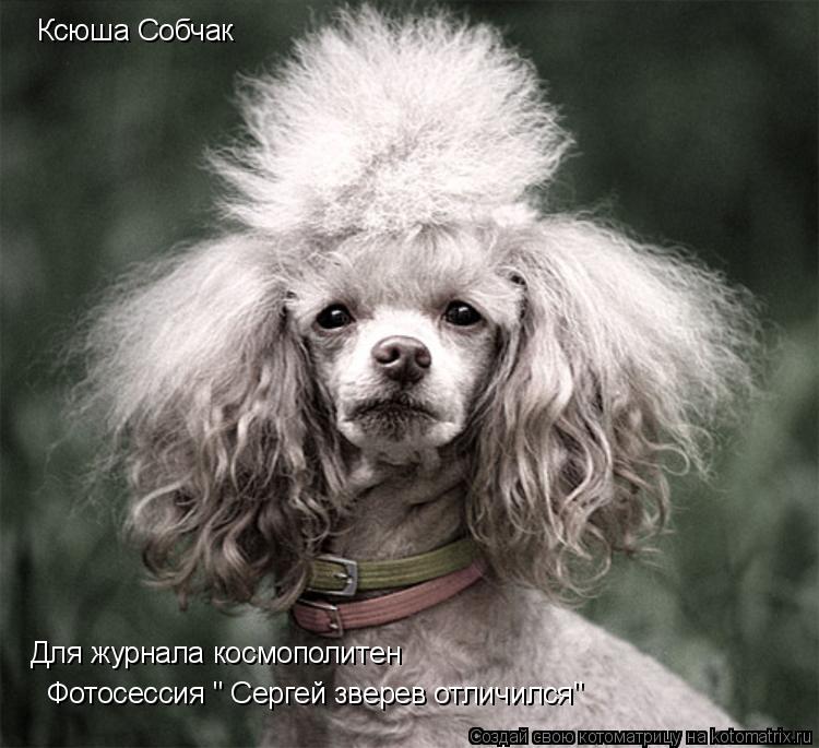 Котоматрица: Ксюша Собчак Для журнала космополитен Фотосессия " Сергей зверев отличился"