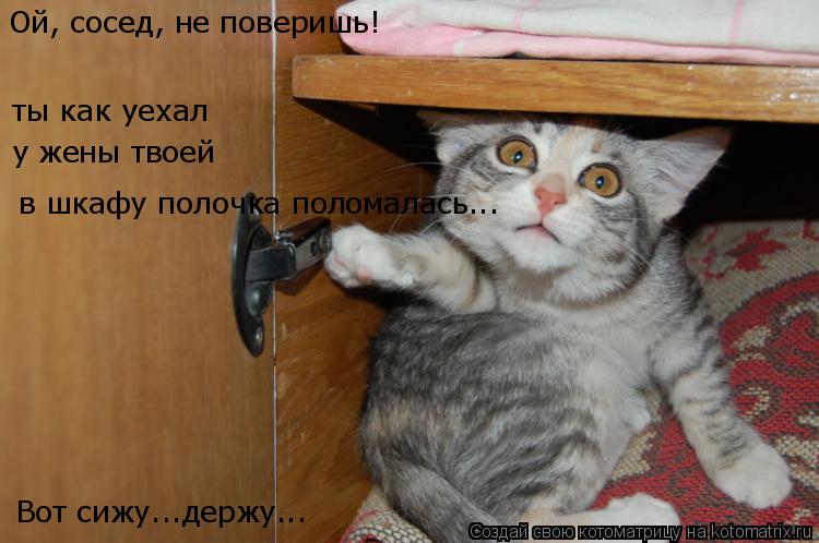 Ой, сосед, не поверишь! в шкафу полочка поломалась... ты как уехал у жены твоей Вот сижу...держу...... Котоматрица: Ой, сосед, не поверишь! в шкафу полочка поломалась... ты как уехал у жены твоей Вот сижу...держу...