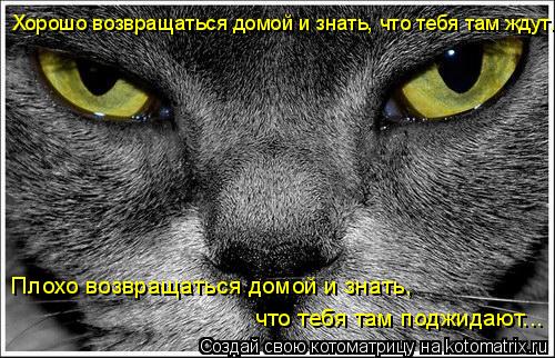 Котоматрица: Хорошо возвращаться домой и знать, что тебя там ждут. Плохо возвращаться домой и знать, что тебя там поджидают...