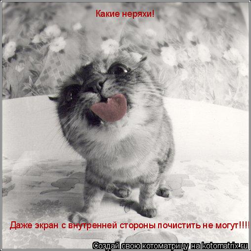 Котоматрица: Какие неряхи!   Даже экран с внутренней стороны почистить не могут!!!!