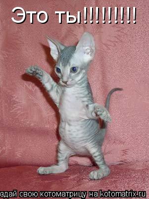 Котоматрица: Это ты!!!!!!!!!
