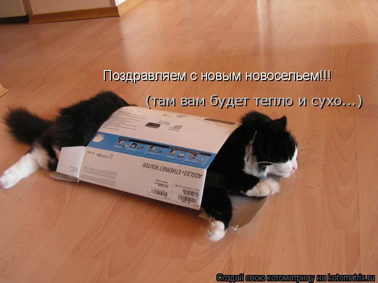 Поздравляем с новым новосельем!!! (там вам будет тепло и сухо...)... Котоматрица: Поздравляем с новым новосельем!!! (там вам будет тепло и сухо...)