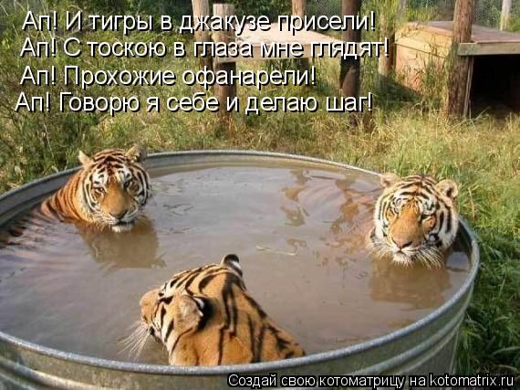 Ап! И тигры в джакузе присели! Ап! С тоскою в глаза мне глядят! Ап! Прохожие офанарели! Ап! Говорю я ... Котоматрица: Ап! И тигры в джакузе присели! Ап! С тоскою в глаза мне глядят! Ап! Прохожие офанарели! Ап! Говорю я себе и делаю шаг!