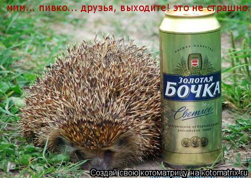 ммм... пивко... друзья, выходите! это не страшно.... Котоматрица: ммм... пивко... друзья, выходите! это не страшно.