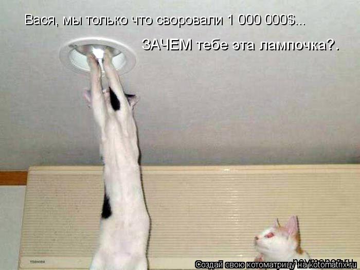 Вася, мы только что своровали 1 000 000$... ЗАЧЕМ тебе эта лампочка?.... Котоматрица: Вася, мы только что своровали 1 000 000$... ЗАЧЕМ тебе эта лампочка?.