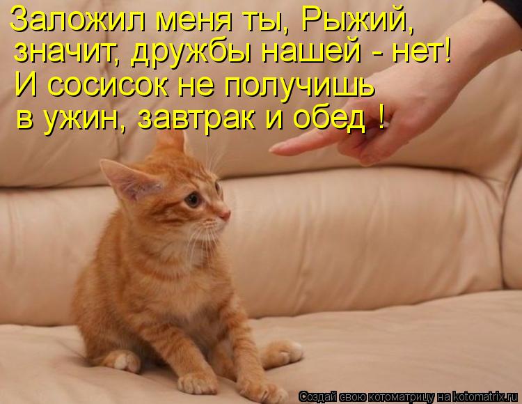 Котоматрица: Заложил меня ты, Рыжий, значит, дружбы нашей - нет! И сосисок не получишь в ужин, завтрак и обед !