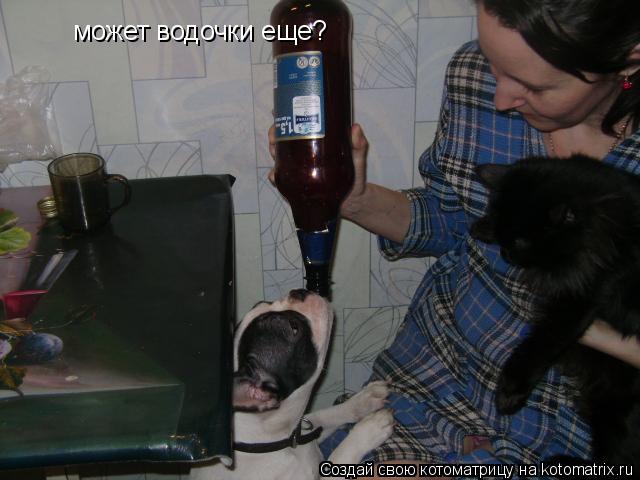 может водочки еще?... Котоматрица: может водочки еще?