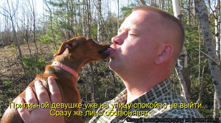 Приличной девушке уже на улицу спокойно не выйти... Сразу же лицо обслюнявят...... Котоматрица: Приличной девушке уже на улицу спокойно не выйти... Сразу же лицо обслюнявят...