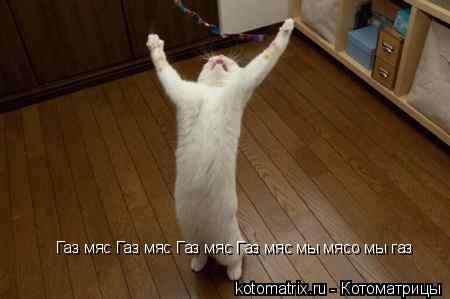 Газ мяс Газ мяс Газ мяс Газ мяс мы мясо мы газ... Котоматрица: Газ мяс Газ мяс Газ мяс Газ мяс мы мясо мы газ