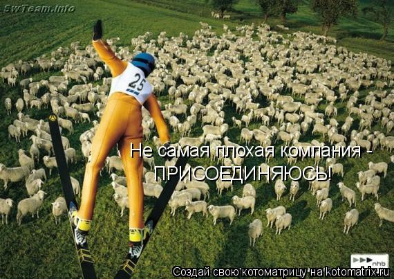 Не самая плохая компания - ПРИСОЕДИНЯЮСЬ!... Котоматрица: Не самая плохая компания - ПРИСОЕДИНЯЮСЬ!