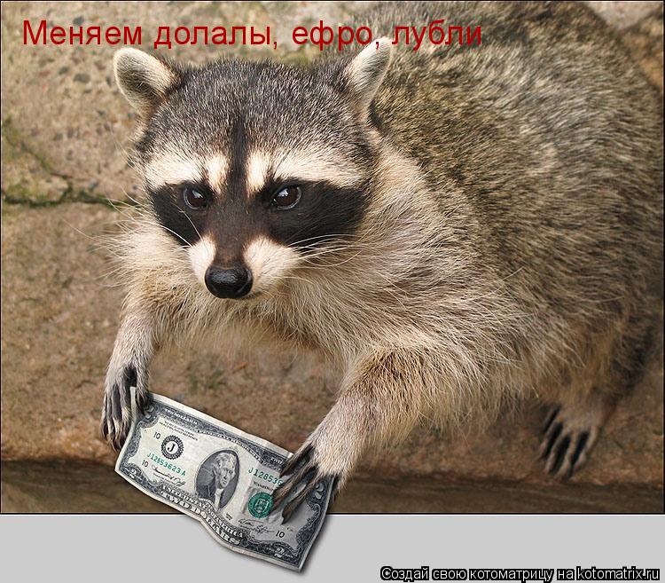 Меняем долалы, ефро, лубли... Котоматрица: Меняем долалы, ефро, лубли