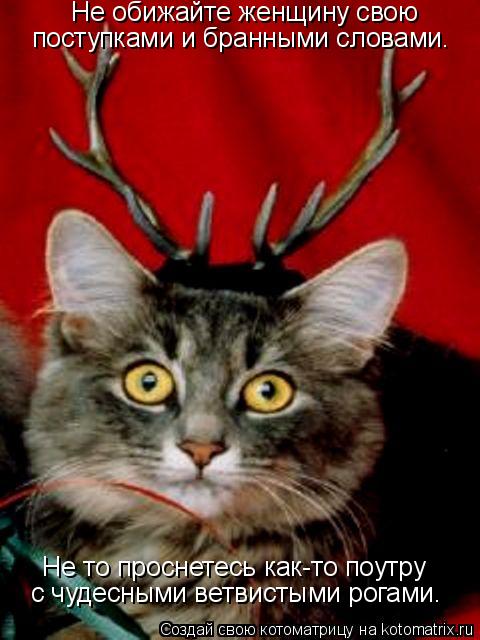 Котоматрица: Не обижайте женщину свою поступками и бранными словами. Не то проснетесь как-то поутру с чудесными ветвистыми рогами.