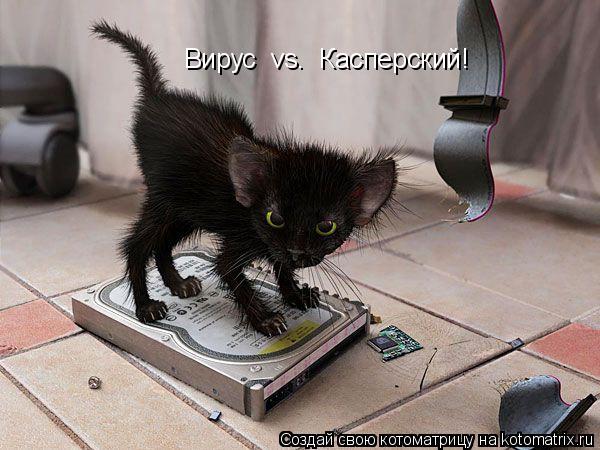 Вирус vs. Касперский!... Котоматрица: Вирус vs. Касперский!