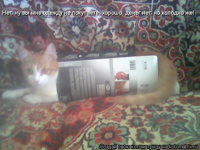 Нет, ну вы мне одежду не покупаете, хорошо, денег нет, но холодно же!... Котоматрица: Нет, ну вы мне одежду не покупаете, хорошо, денег нет, но холодно же!