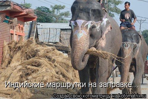 Котоматрица: Индийские маршрутки на заправке...