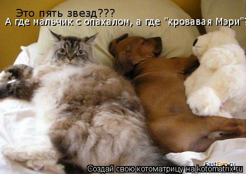 Это пять звезд??? А где мальчик с опахалом, а где "кровавая Мэри"?... Котоматрица: Это пять звезд??? А где мальчик с опахалом, а где "кровавая Мэри"?