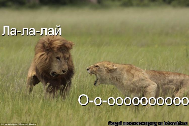 Ла-ла-лай О-о-оооооооооо... Котоматрица: Ла-ла-лай О-о-оооооооооо