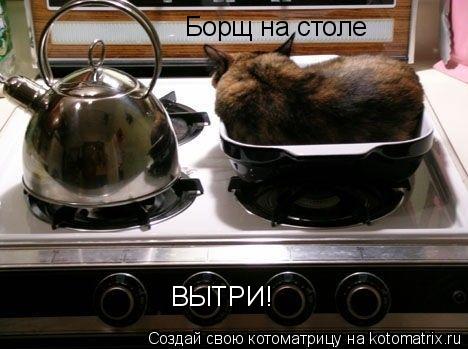 Борщ на столе ВЫТРИ!... Котоматрица: Борщ на столе ВЫТРИ!