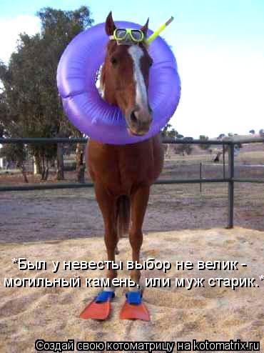 *Был у невесты выбор не велик - могильный камень, или муж старик.*... Котоматрица: *Был у невесты выбор не велик - могильный камень, или муж старик.*
